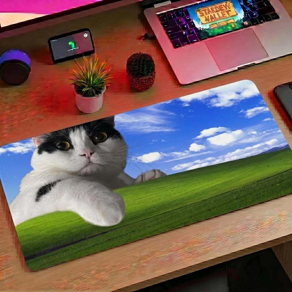 Cat On Windows Home Screen Desk Mat