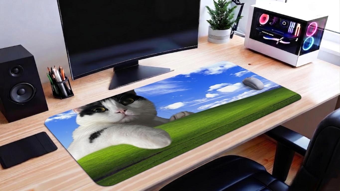 Cat On Windows Home Screen Desk Mat